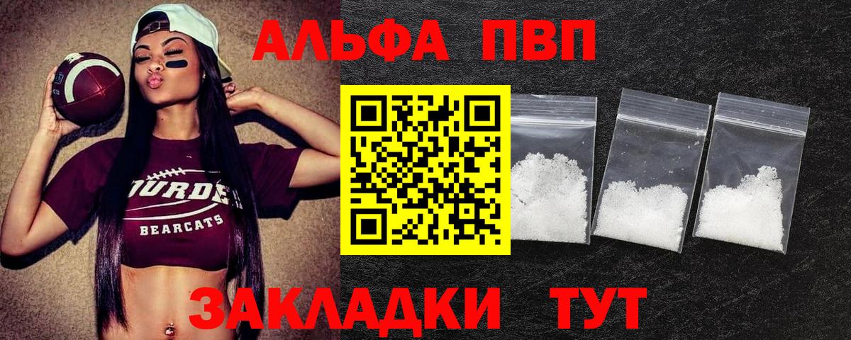 Alfa_PVP СК КРИС Гатчина