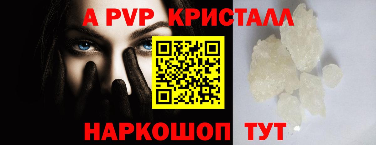 Гатчина  APVP СК КРИС  Вход с VPN  A PVP СК 