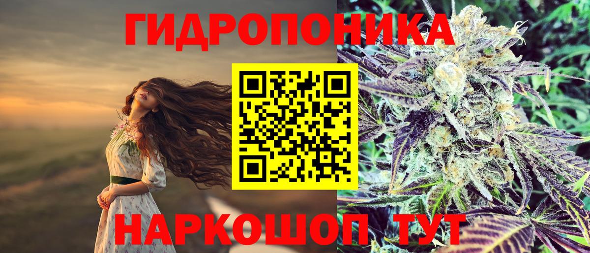 Канабис Bruce Banner Гатчина